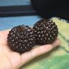 Массажный мяч из агарового дерева и дуриана – Спортивный мяч-хват из цельного черного дерева