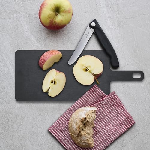 VICTORINOX Epicurean Handy Series Medium Cutting Board, Dishwasher Safe, Heat Resistant, Camping, Made In the USA, Black, Size 7.4132.3