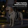 Dog Support Wrap for Senior Dogs with Sliding Fit Controls, Soft-Lined Chest Panel, and Two Handles for Guided Short Walks