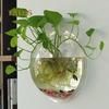 Creative Wall Mounted Clear Acrylic Round Fish Tank Flower Pot Vase Home Decor Decoration