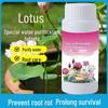 Таблетки для очистки воды Lotus — очищают воду, дезодорируют бассейны, удаляют примеси, очищают гидропонные растения