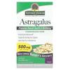 Astragalus, 500Mg, 60 Veggie Capsules
