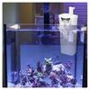 Silent Internal Aquarium Filter Waterfall Turtle Internal Filter 3W Low Level Water Clean Pump