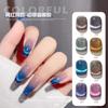Nail Art Dream Dynamic Spar Cat'S Eye Nail Polish Glue Autumn And Winter Phototherapy Nail Glue