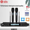 HuiDu U8801/8802 Pro Двойной беспроводной микрофон с регулируемой частотой для конференций