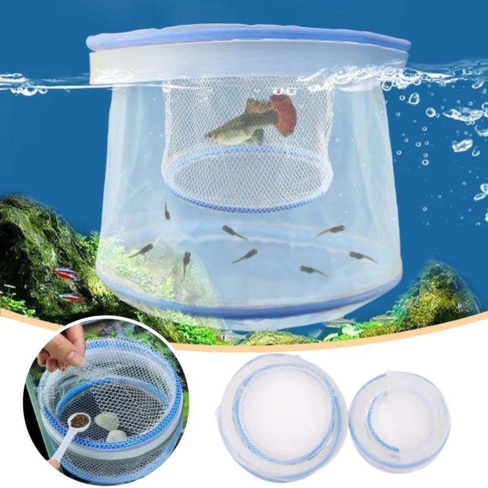 Fishproof Aquarium Fish Isolation Box Multiple sizes Small Fry Breeding Box Fish Care Equipment