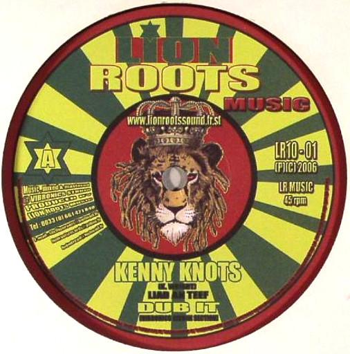 10-дюймовая пластинка VIBRONICS Liad An Teef Why LR1001 Lion Roots Musi 2006 Франция Регги Ска Даб Б/у