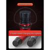 SANSUI C6 All-in-One Portable KTV Karaoke System CN plug (adapter included) (CN version)
