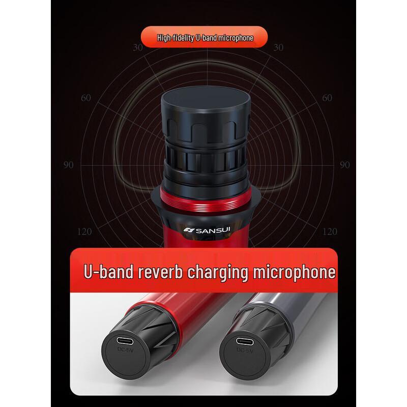 SANSUI C6 All-in-One Portable KTV Karaoke System CN plug (adapter included) (CN version)