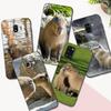 Черный чехол из ТПУ для Samsung Galaxy A3 A5 A7 2016 2017 2018 чехол Capybara