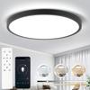 Smart LED Ceiling Lamp Ultra Thin Ceiling Light with Remote Control Dimming Panel Ceiling Lighting Fixture for Bedroom Kitchen