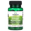 Full Spectrum Chaga Mushroom, 400Mg, 60 Capsules