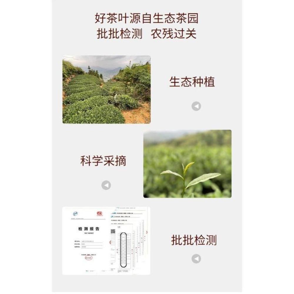 Anxi Tieguanyin Oolong Thé Thé De Printemps Nouveau Thé Parfum Frais 250 г * 2