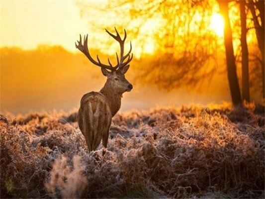 5D алмазная живопись Лось олень лесной пейзаж вышивка крестиком Diy Алмазная вышивка мозаика декор со стразами Рождественский подарок распродажа