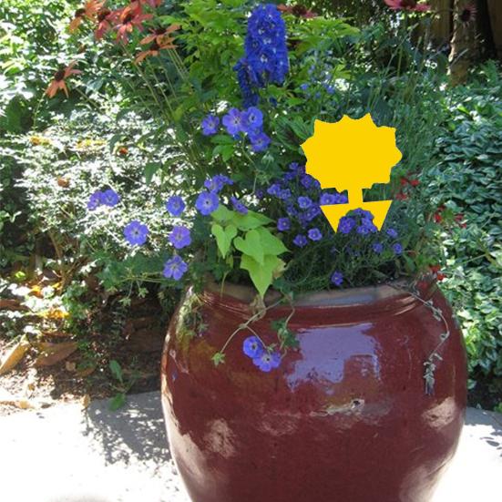 5 шт., ловушка для мух, липкая двусторонняя сильная липкость, желтая ловушка для мух в форме бабочки, бумажная липкая доска для тли и сада