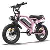 16 Inch Teenager Off-Road Electric Bicycle ALNSOOR A13 All-Terrain E-Bike 16 Inch Fat Tires 36V12.8Ah Battery Outdoor Riding Electric Bike