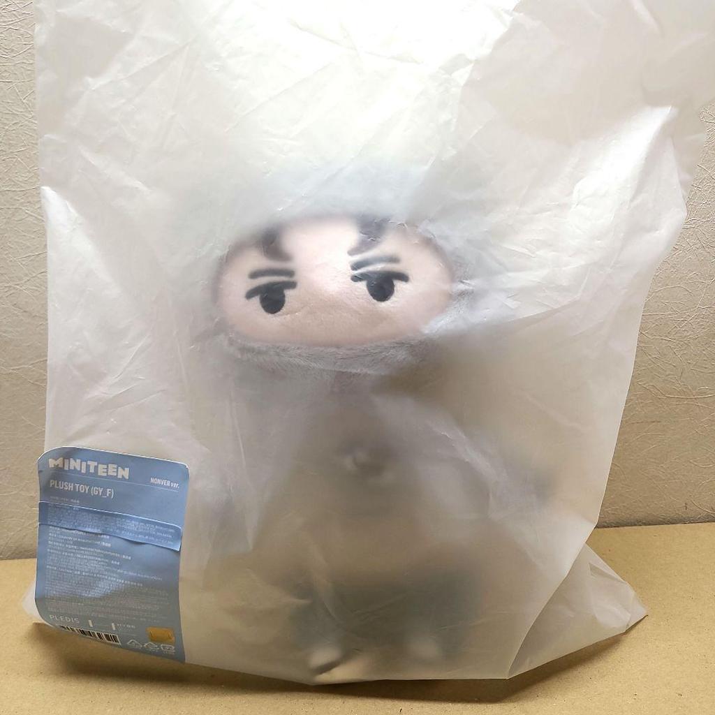 [USED] MINITEEN Vernon Plush Toy Nonba Miniteen