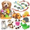 Dog Rattle 12 Pcs Puppy Toys for Cute Dog Toy Dog Set with Stuffed Animal Natural Cotton Puppy Loca Toy Dog Chew Toy Dog Dog Dog Dog Dog Dog Dog Dog