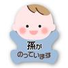 [Magnet] Baby Riding Safety Driving Sticker Grandson No Jacket Blue L Size 6.9 X 5.6 Inches (176 X 144 Mm)