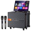 Портативная караоке-колонка SANSUI Q085 (Китайская версия)