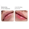 LANEIGE Lip Glow Balm, 10g (10 Options)