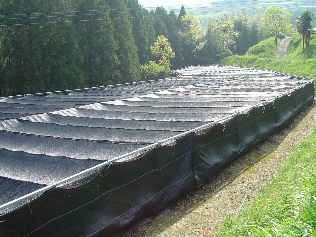 Pokka Sapporo Напиток Чай Гёкуро 600 мл x 24 бутылки