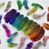 20Pcs/Lot 5-10cm Pheasant Feathers Jewelry Creation Colored Feather for Needlework and Handicrafts Holiday Decorations Diy Plume