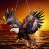 25CM A Symbol of the Return of Heroes and struggle--Flying Eagle Series Acrylic Flat 2D Catcher Hanging Decoration, Gift Window Door Wall Decoration