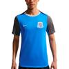 Dri-Fit Academy Pro Сезон 2026 Клуб Шанхай Шэньхуа Быстросохнущая Легкая Тренировочная Футболка с Короткой Рукавой Мужские Топы IQ0565-481
