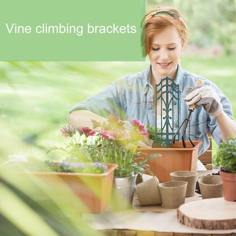 Plastic Trellis For Indoor Climbing Plant Plastic Trellis For Indoor Plant Climbers Support For Flower Growth Support