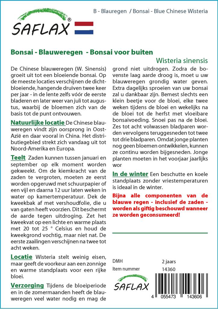 SAFLAX Garden in the Bag - Бонсай - Глициния китайская голубая - 4 семени - С субстратом в подходящем пакете - Wisteria sinensis