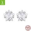 Exquisite Star Small Stud Earrings Women'S Classic Versatile S925 Sterling Silver Star Stud Earrings