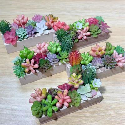 Случайный Один Кукольный домик Миниатюрный Суккулент Деревянное Корыто Зеленый Растение Горшок Модель Микро Ландшафтный Декор Украшения Игрушки для Ролевых Игр