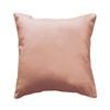 Coussin - Non Déhoussable - Rose - 40 X 40 Cm - Polyester - Style Contemporain