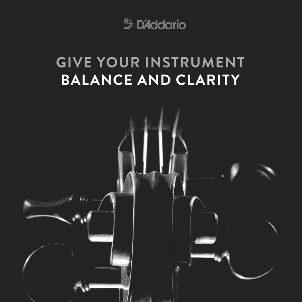 Violin Strings Kaplan Vivo Set KV310 Medium Tension D'Addario 4/4M []