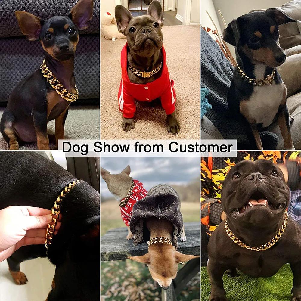 14 мм золотой ошейник для собак из нержавеющей стали, металлическое роскошное ожерелье, аксессуар для домашних животных