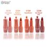 HengFang Velvet Matte Lipstick Set Не легко выцветает Косметика для макияжа губ 3,5gx4