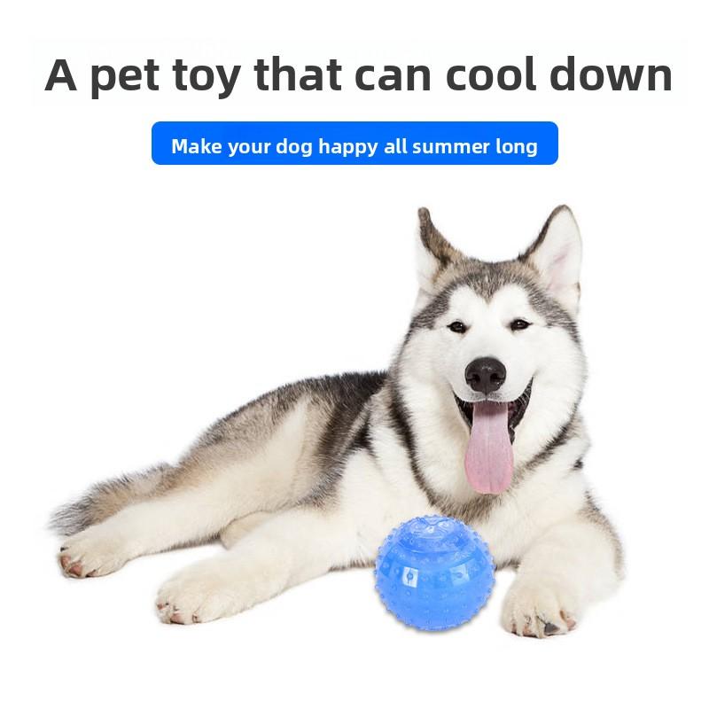 Pet Chew Toy Dog Ice Ball Summer Frozen Teeth Grinding Cooling Pet Toy Pet Supplies