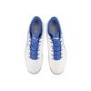 Li Ning TF Turf Искусственный газон Амортизация Тренировочные кроссовки Мужские YSTT023-2