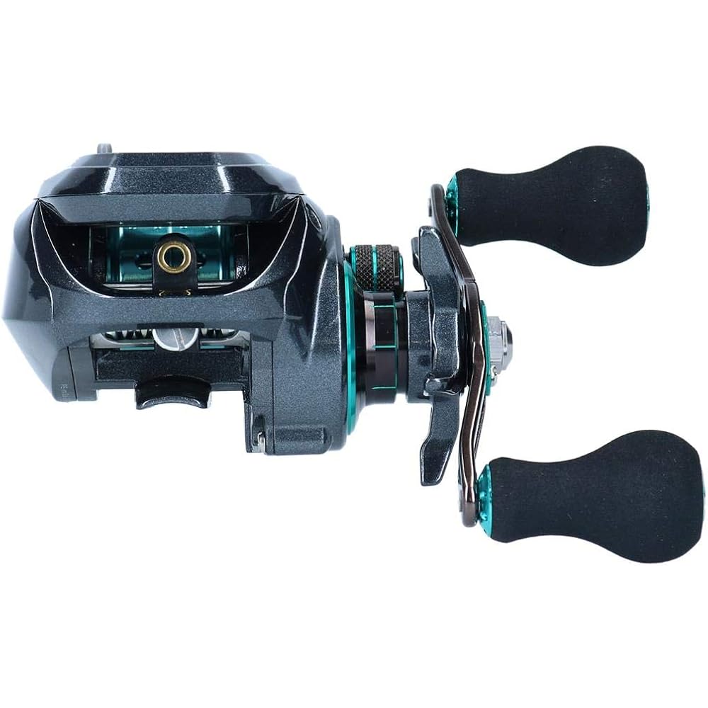 Daiwa Light SW X IC SS L Counter Bait Reel Black Blue