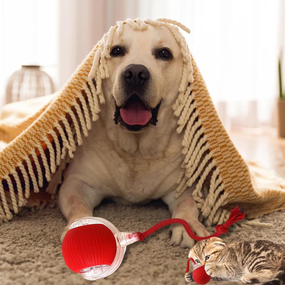 Интерактивные игрушки для кошек Катящийся мяч Быстро катящийся по ковру Игрушки для кошек или собак