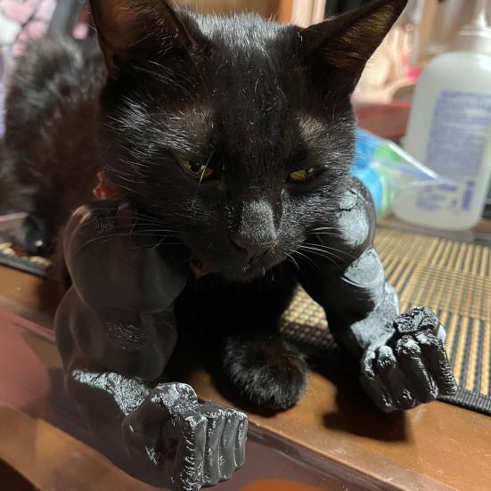 Костюм кошачьей мышцы руки, 3D-принтованная кошачья шея-рука с мышцей, забавная кошачья шея, подвесное украшение, принадлежности для Хэллоуина, дня рождения