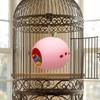 Large Caliber Bird Shelter Plastic Small Pet Sleeping Nest Pet Habitat Parrot Cage Nest  Budgerigar