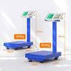 Meilen Commercial High-Precision Foldable Platform Scale