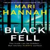 Black Fell by Mari Hannah Paperback Book 9781409192411