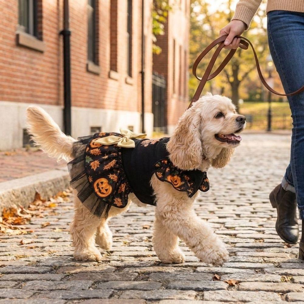 Pumpkin Print Pet Wizard Dress Big Bow Decor Pet Puff Sleeve Skirt Halloween Party