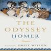 The Odyssey by Homer Hardback Book 9780393089059