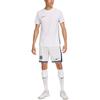 Nike Интер МиланDri Fit FW24 Футбольные штаны Мужские Summit White FQ6609-121