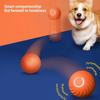 Smarts Dog Toys Ball Toy Dogs Interactive Bouncing Geometric Bright Sports Chewable Design Supplies Pet Home Accessories For