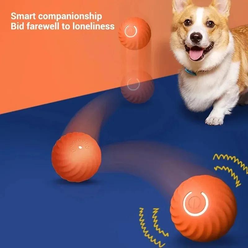 Smarts Dog Toys Ball Toy Dogs Interactive Bouncing Geometric Bright Sports Chewable Design Supplies Pet Home Accessories For
